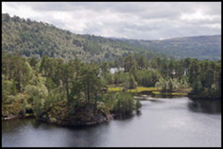 Forests in Glen Affric - Forestry and Land Scotland