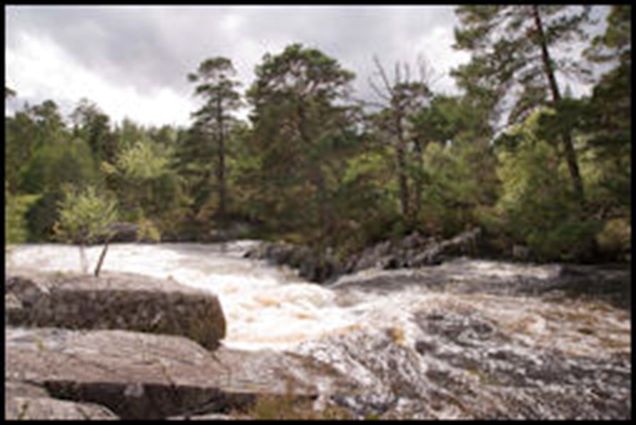 Forests in Glen Affric - Forestry and Land Scotland